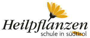 logo fhs Kopie gross
